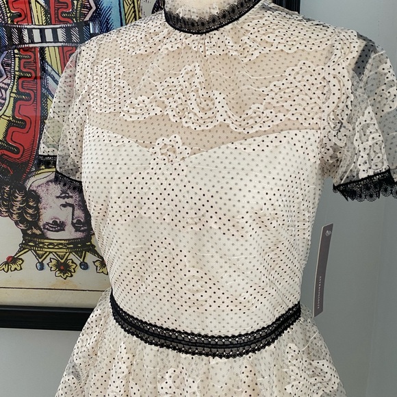 ⚫️ NWT Shoshanna Stacia Lace Tiered Polka Dot Anthropologie Dress Size 4 - Picture 5 of 16